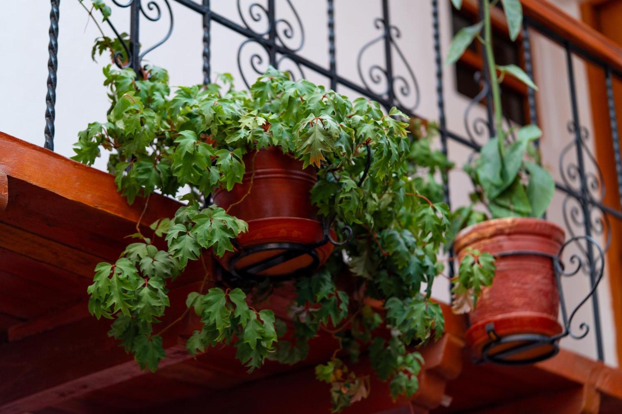 Hotel La Posada De Atahualpa Κούζκο Εξωτερικό φωτογραφία